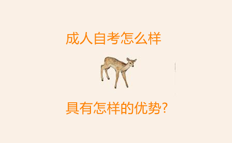 成人自考怎么样